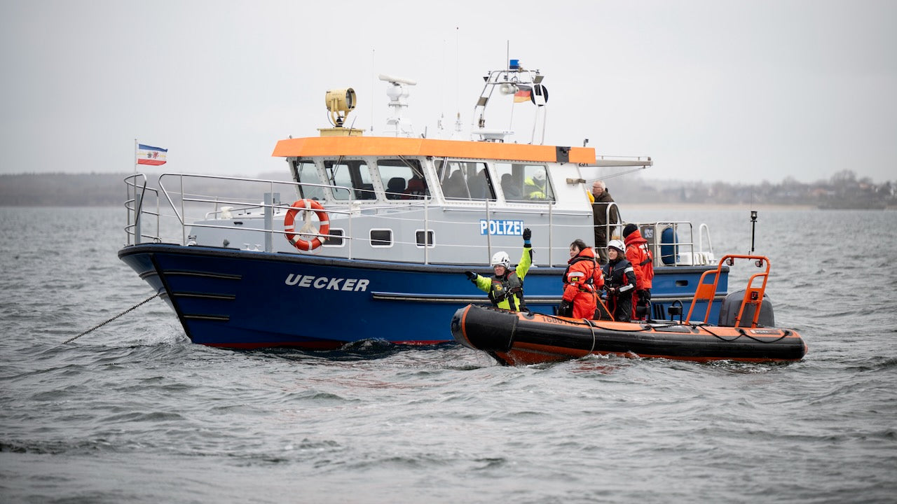 Buckelwal in Bucht von Wismar. Foto: dpa