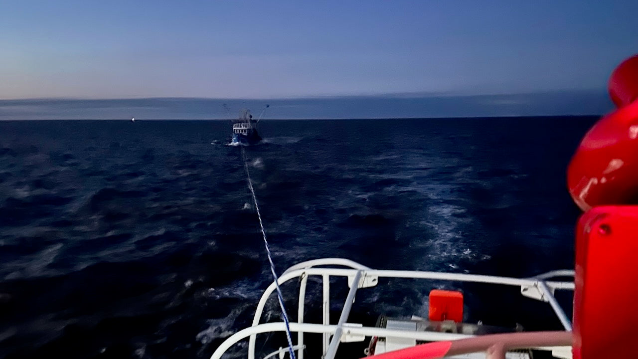 Seenotrettung Nordsee: Fischkutter strandet auf Nordergründen