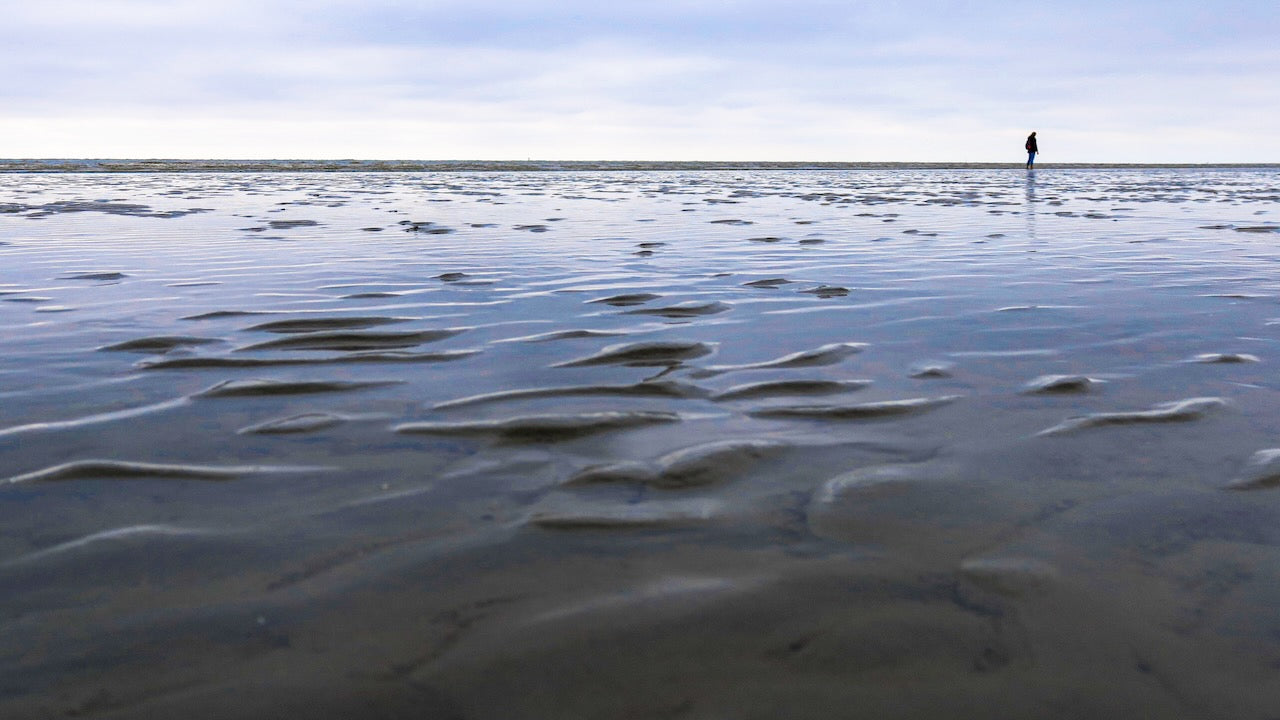 Wattenmeer (Symbolfoto)
