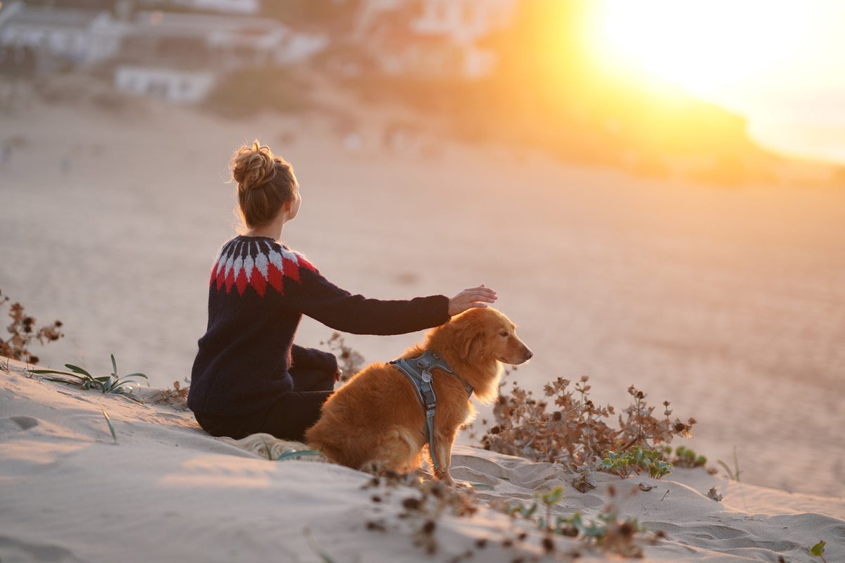 Islandpullover 2 - Ankerherz Verlag