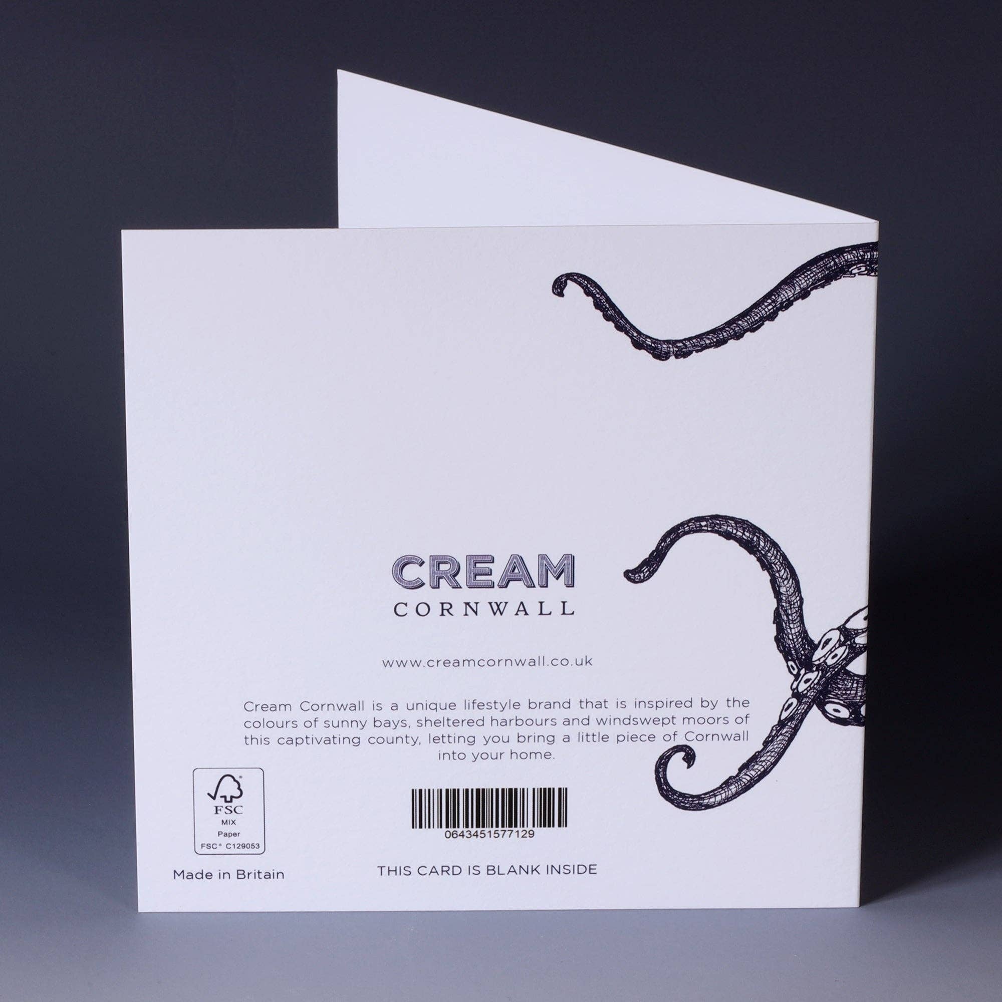 Klappkarte – Oktopus aus Cornwall