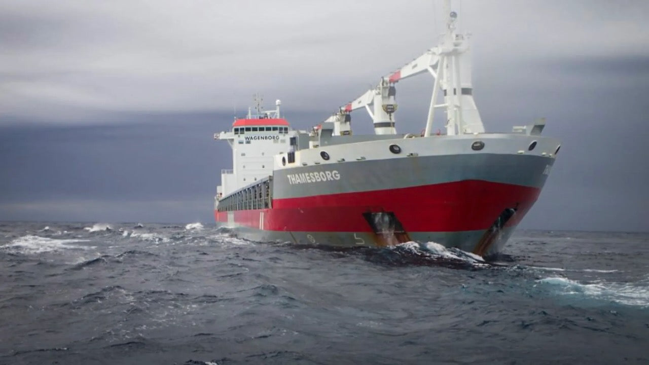 Frachter Thamesborg. Foto: Canadian Coastguard