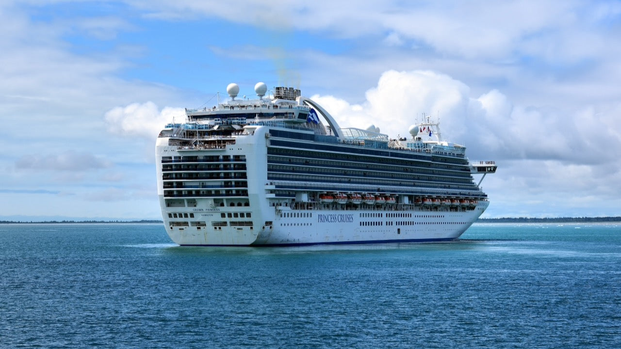 Sturm: 16 Verletzte an Bord des Kreuzfahrtschiffs "Crown Princess"