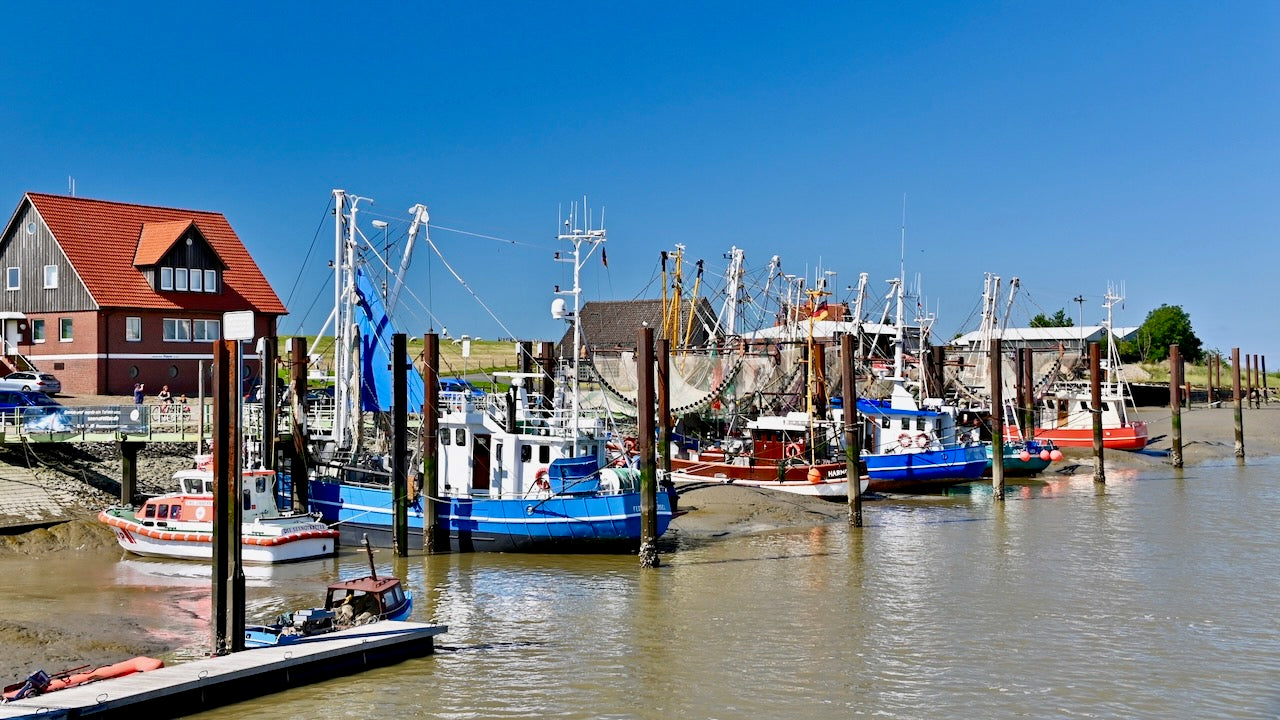 Fedderwardersiel Hafen