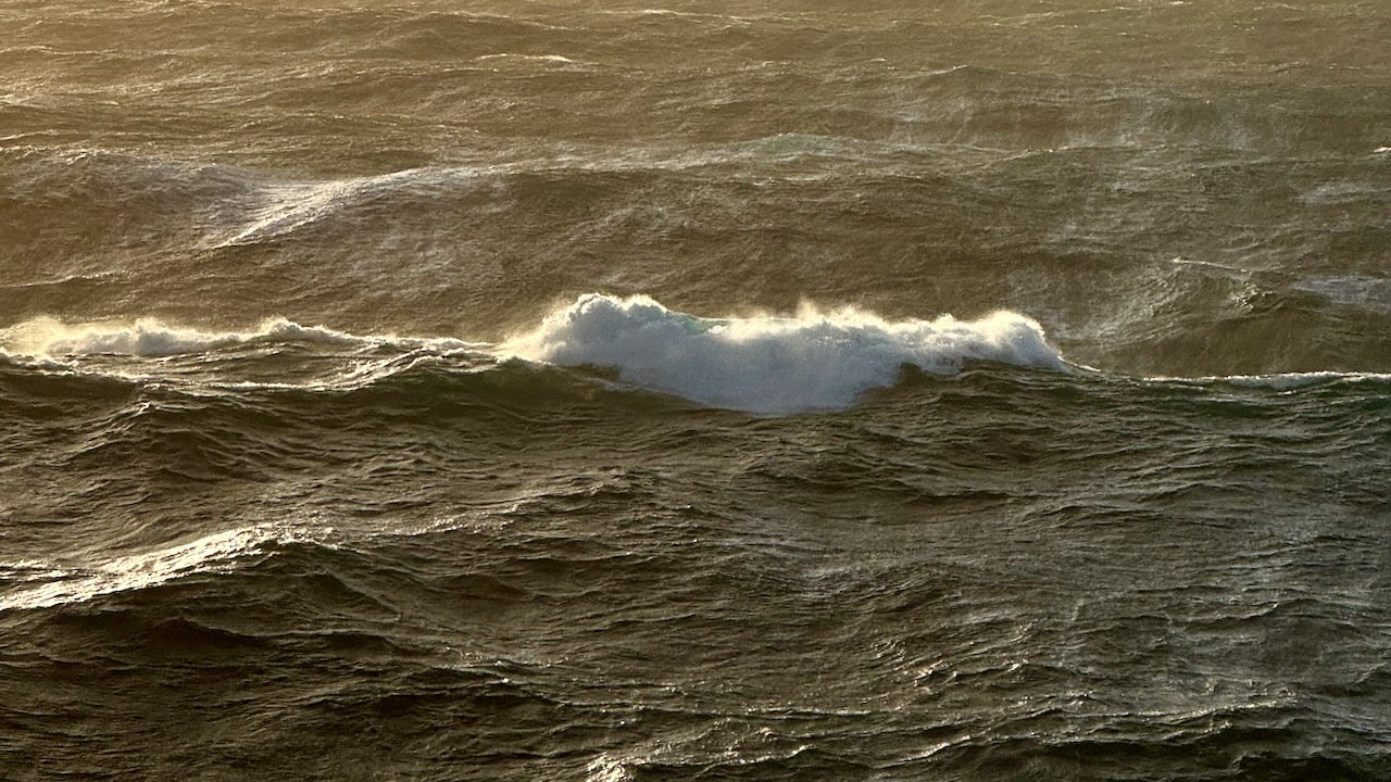 Studie: Monsterwellen bedrohen besonders die Insel Norderney