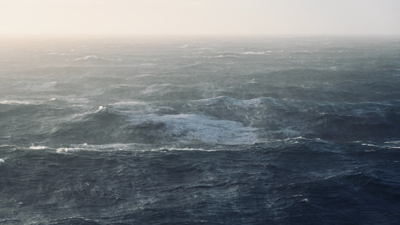 Skua-Tour nach Island: Wie ein Schiffsjunge, der den Sturm anlockt
