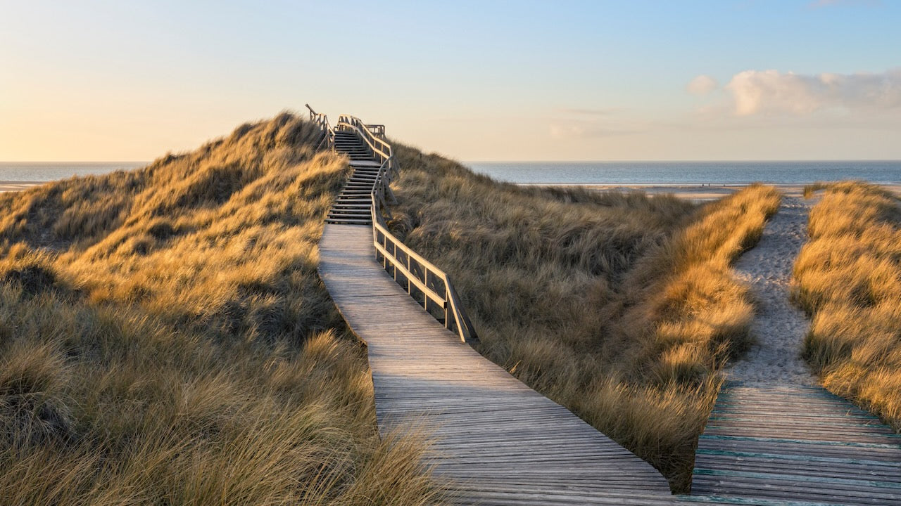 Strand von Amrum