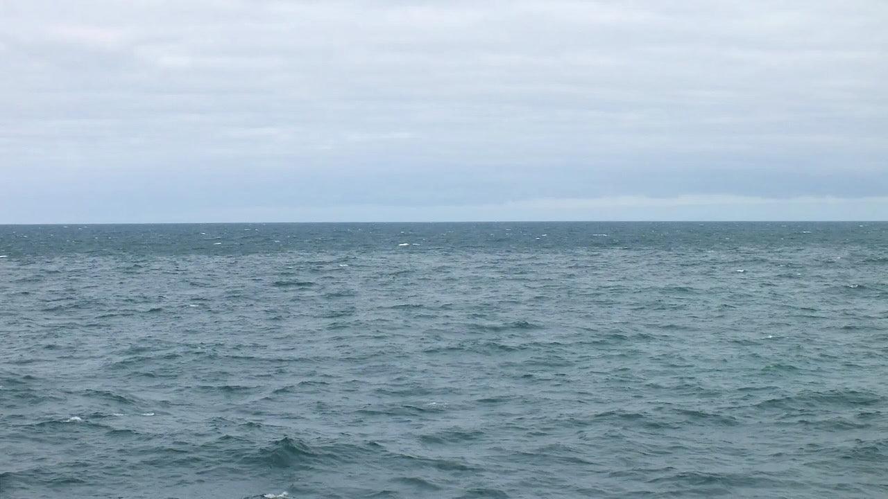 Tanker verdächtig: Nordsee vor deutscher Küste verunreinigt