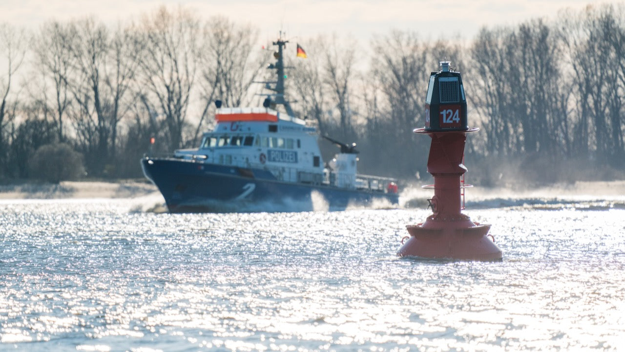 Verirrter Buckelwal hat sich befreit und ist abgetaucht