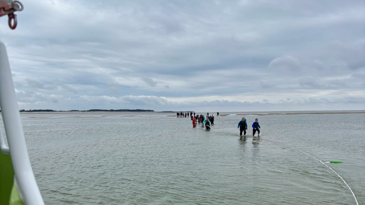 Seenotretter befreien 25 Wattwanderer vor Amrum aus Gefahr