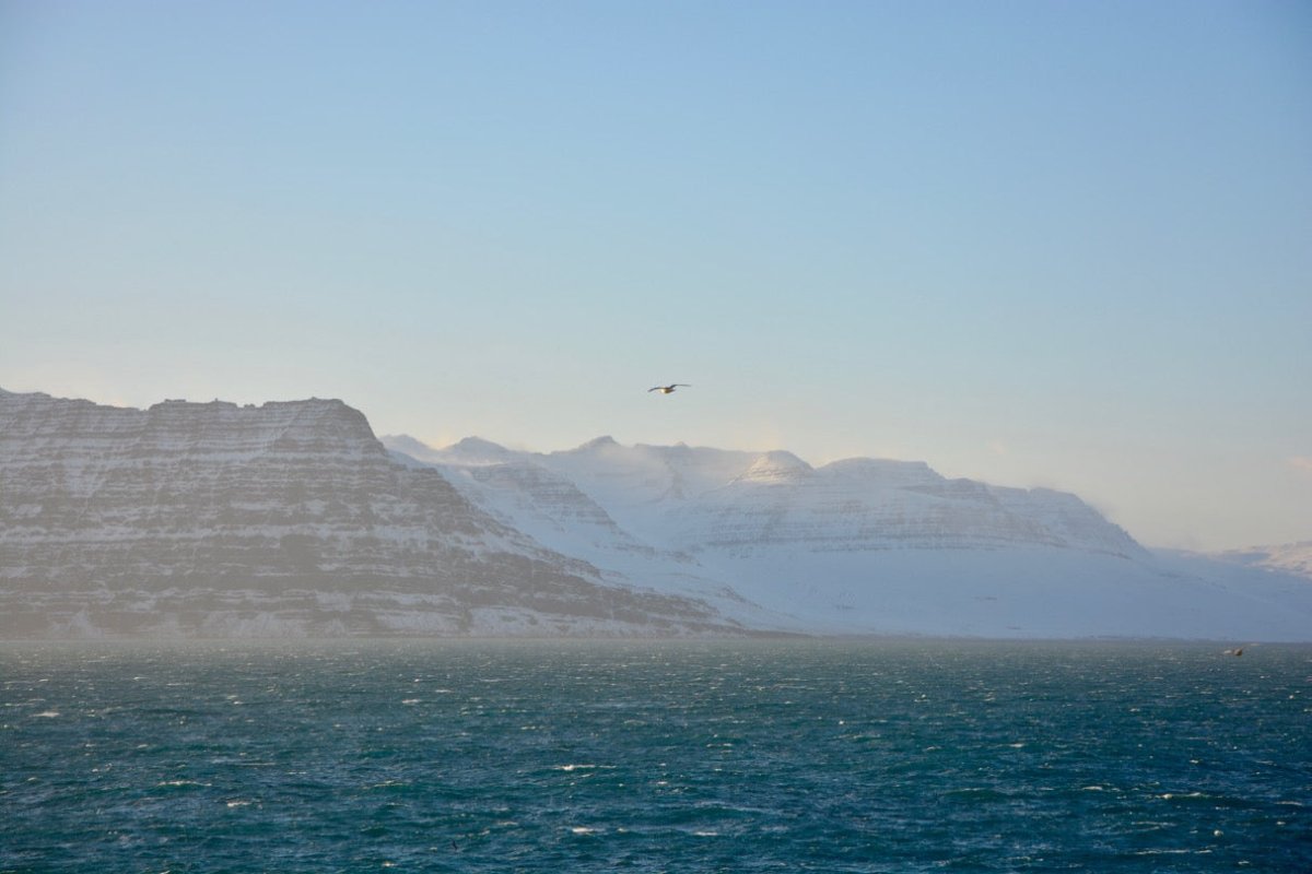Abenteuer Nordatlantik – die zweite Skua-Tour von Ankerherz - Ankerherz Verlag
