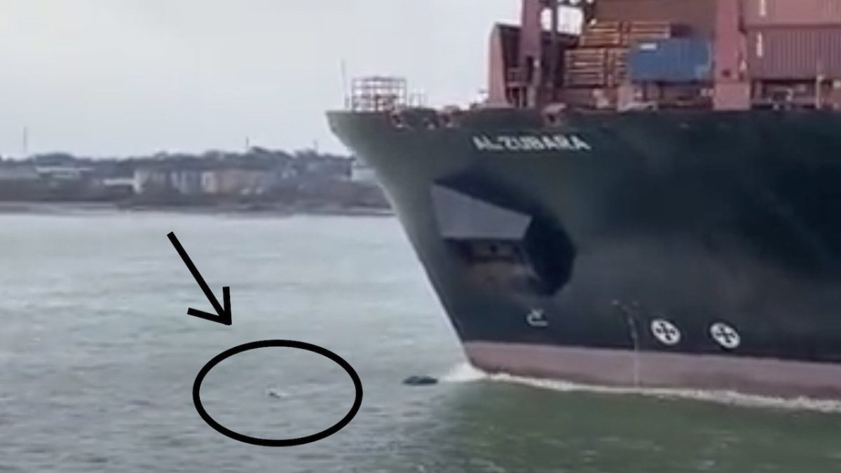 Achtung, Containerriese! Mann schwimmt in Southampton um sein Leben - Ankerherz Verlag