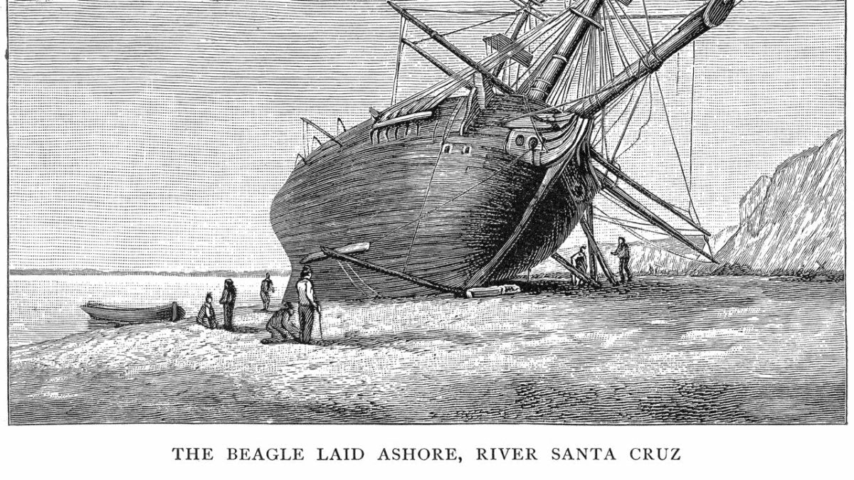 Ankerherz History: Als Charles Darwin die Seekrankheit entdeckte - Ankerherz Verlag