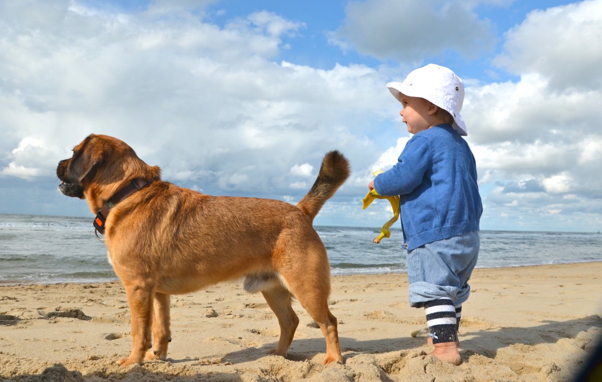 Baby-Strand in Butjadingen: volle Wonne oder volle Windel? - Ankerherz Verlag