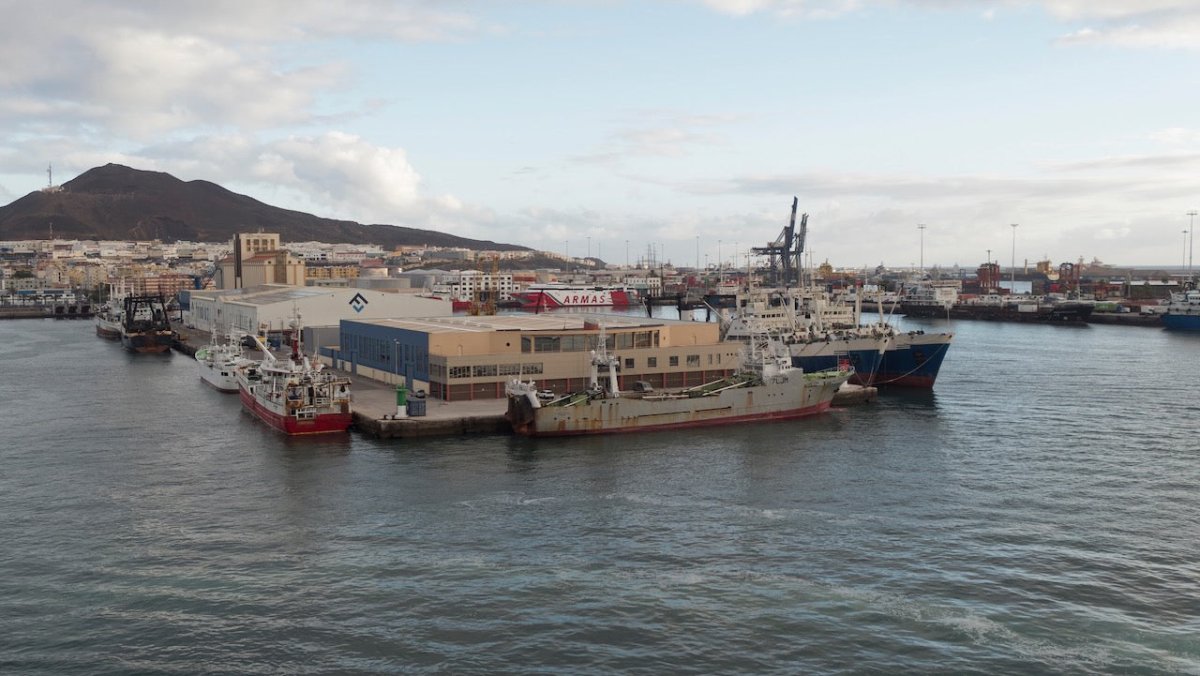 Betrunkener Kapitän steuert Frachter in Hafen von Gran Canaria - Ankerherz Verlag
