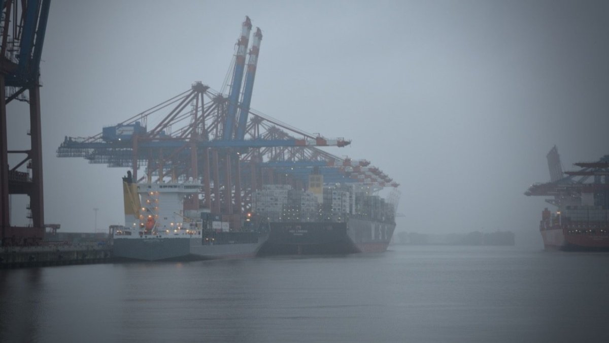 Bombendrohung gegen MSC Frachter auf Reise von Hamburg nach Antwerpen - Ankerherz Verlag