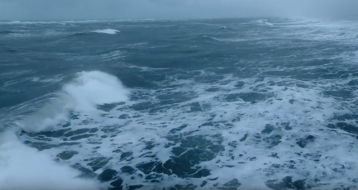 Das Wattenmeer: ein Dokumentarfilm über raue Schönheit - Ankerherz Verlag