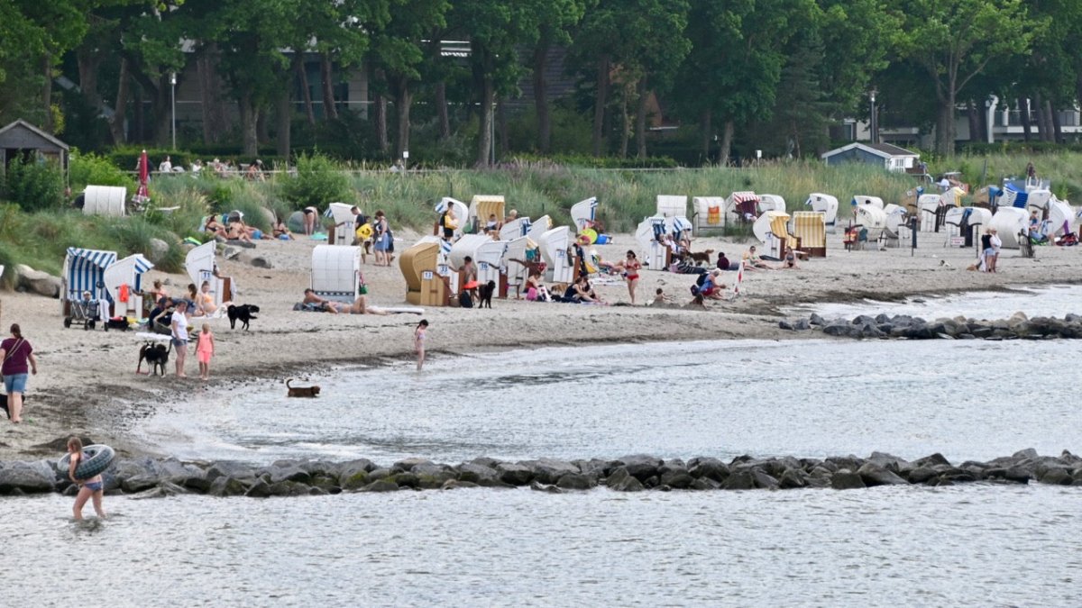 Dramatische Rettungsaktionen für Kind und Hundehalterin auf der Ostsee - Ankerherz Verlag