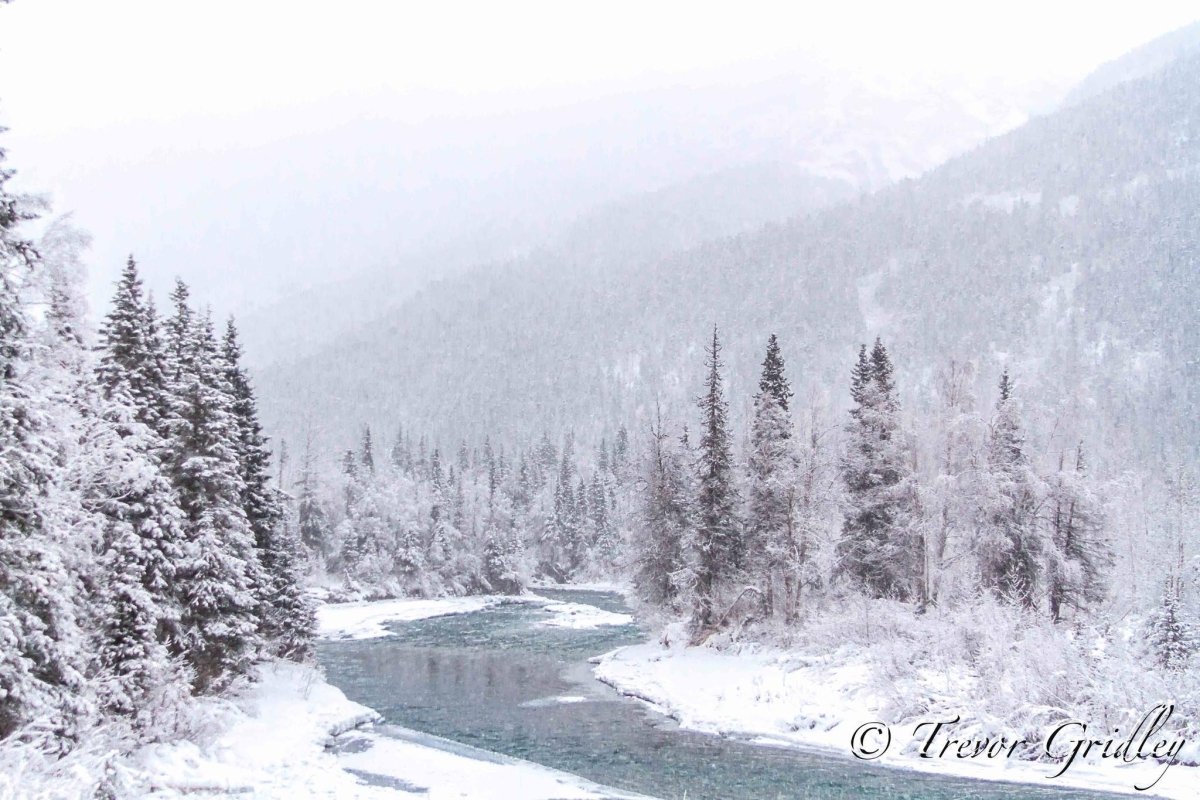 Eine Büroklammer in Alaska – das Abenteuerbuch in der Wildnis - Ankerherz Verlag