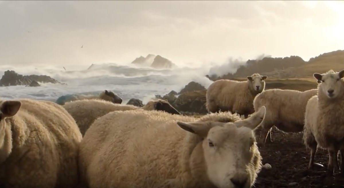 Einsames Leben weit draußen: Sturm über Fair Isle - Ankerherz Verlag