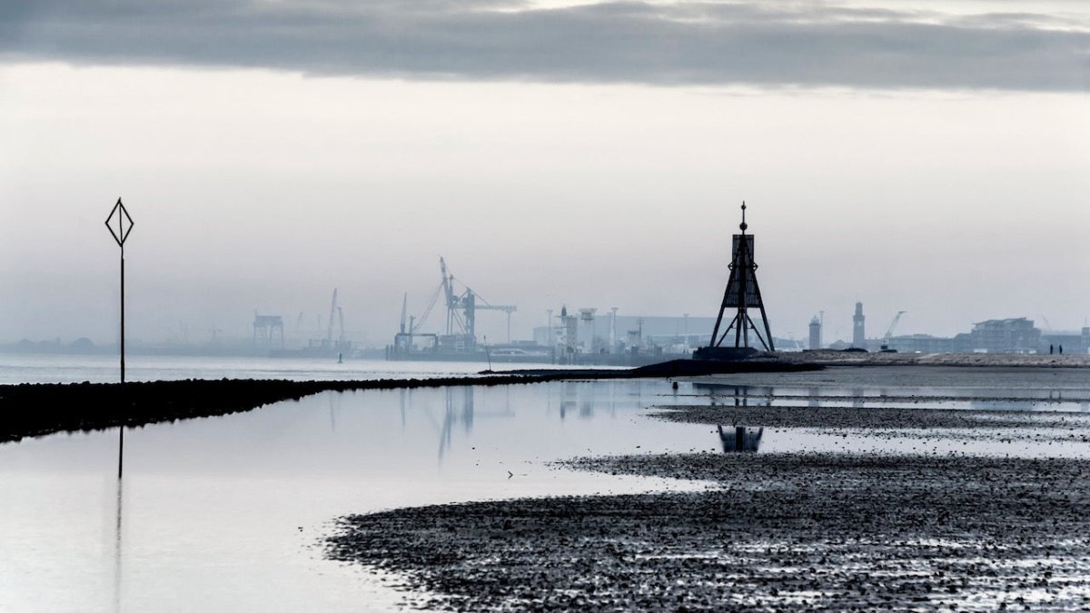 Gestrandet: Rettungsaktion für Hai im Wattenmeer vor Cuxhaven - Ankerherz Verlag