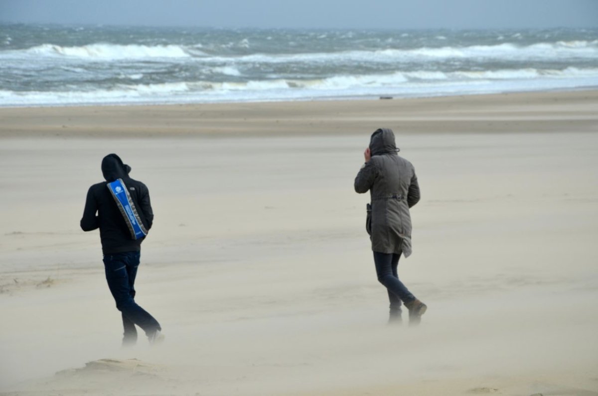 GESUNDE NORDSEE: Von Salzluft und ewigem Hunger am Meer - Ankerherz Verlag