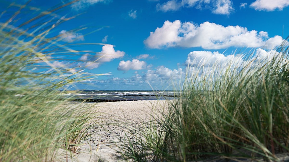 Graal-Müritz: SUV-Fahrer steckt nach Heiratsantrag im Strand fest - Ankerherz Verlag