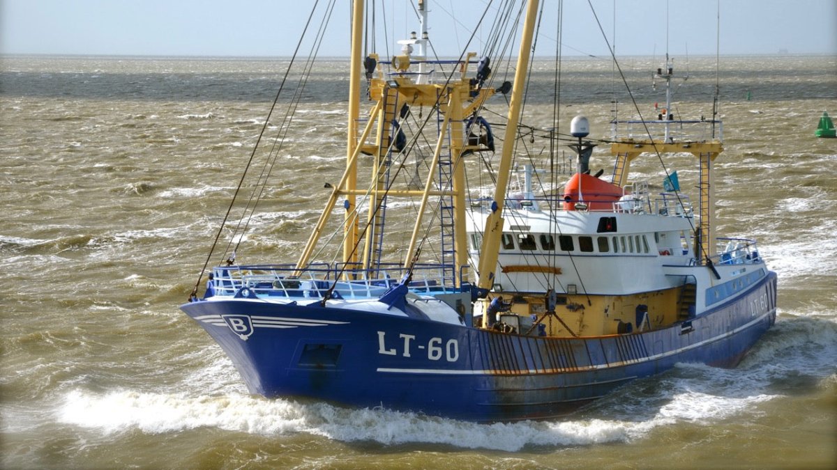 Havarie der MSC Zoe: Jetzt räumen die Fischer mit auf! - Ankerherz Verlag
