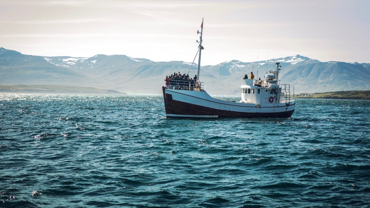 Islands Fischereiministerin stellt Sinn von Walfang infrage - Ankerherz Verlag