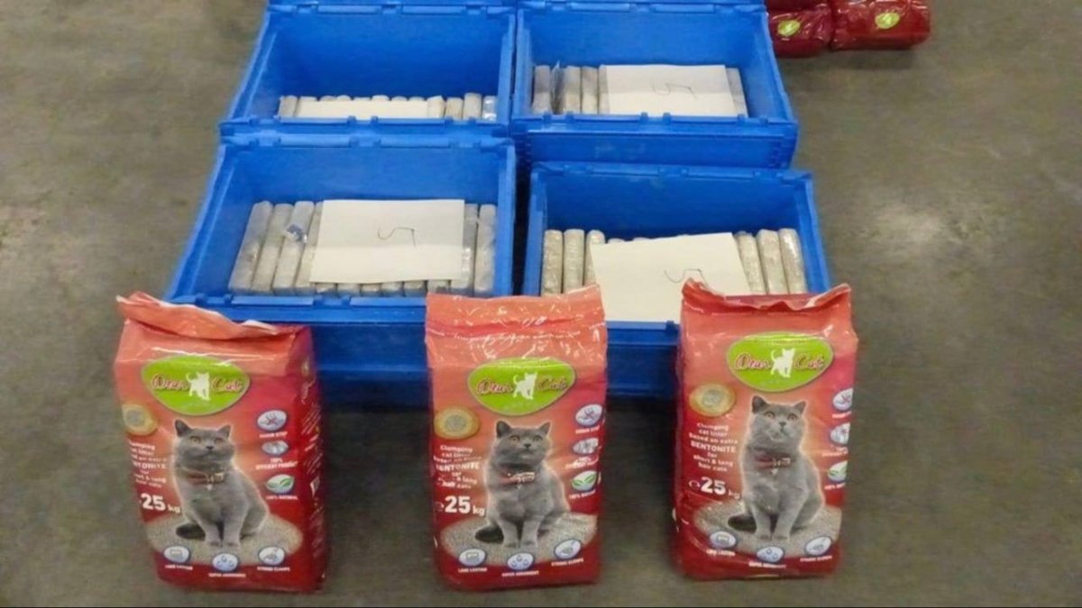Kokain im Katzenstreu: Erneut großer Drogenfund im Hamburger Hafen - Ankerherz Verlag