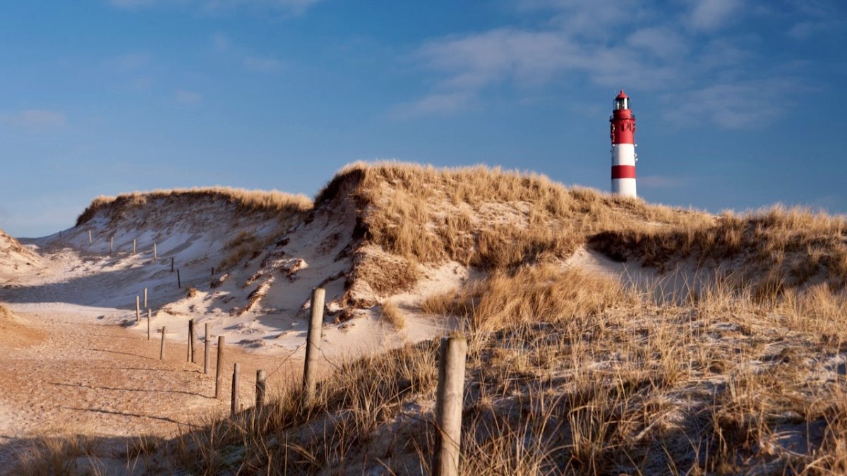 Leuchtturm auf Amrum: 150 Jahre Feuer über der Nordsee - Ankerherz Verlag