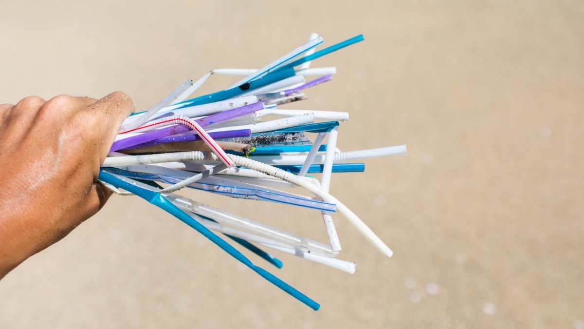 Meeresschutz vorbei: Donald Trump will wieder Plastik - Ankerherz Verlag