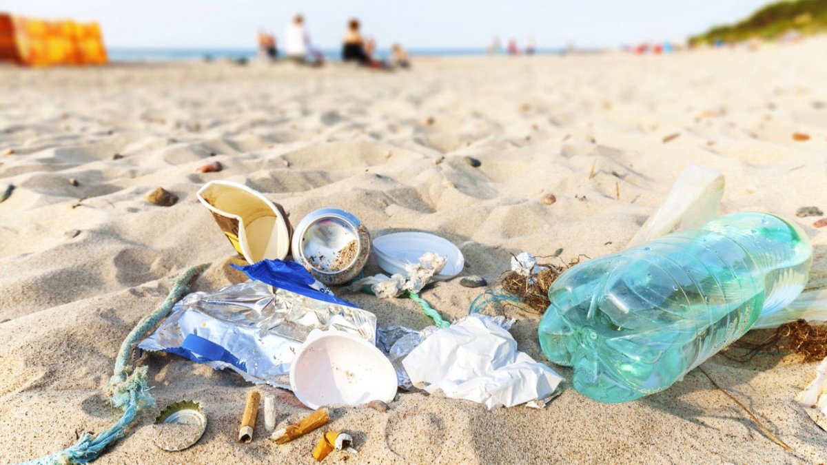 Müll am Ostseestrand – Senator beklagt „unvorstellbare Verrohung“ - Ankerherz Verlag