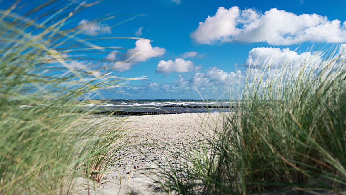 Nächtliches Pinkeln in die Ostsee ist legal, urteilt Amtsgericht - Ankerherz Verlag