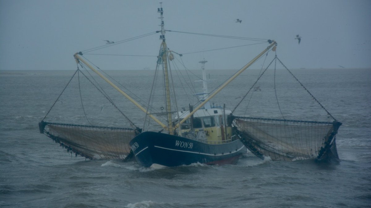 Rettung eines Fischers: Seenotretter meistern heikle Aufgabe - Ankerherz Verlag
