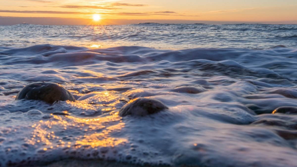 Rügen: Unbekannte stehlen Weltkriegsgranate vom Strand - Ankerherz Verlag