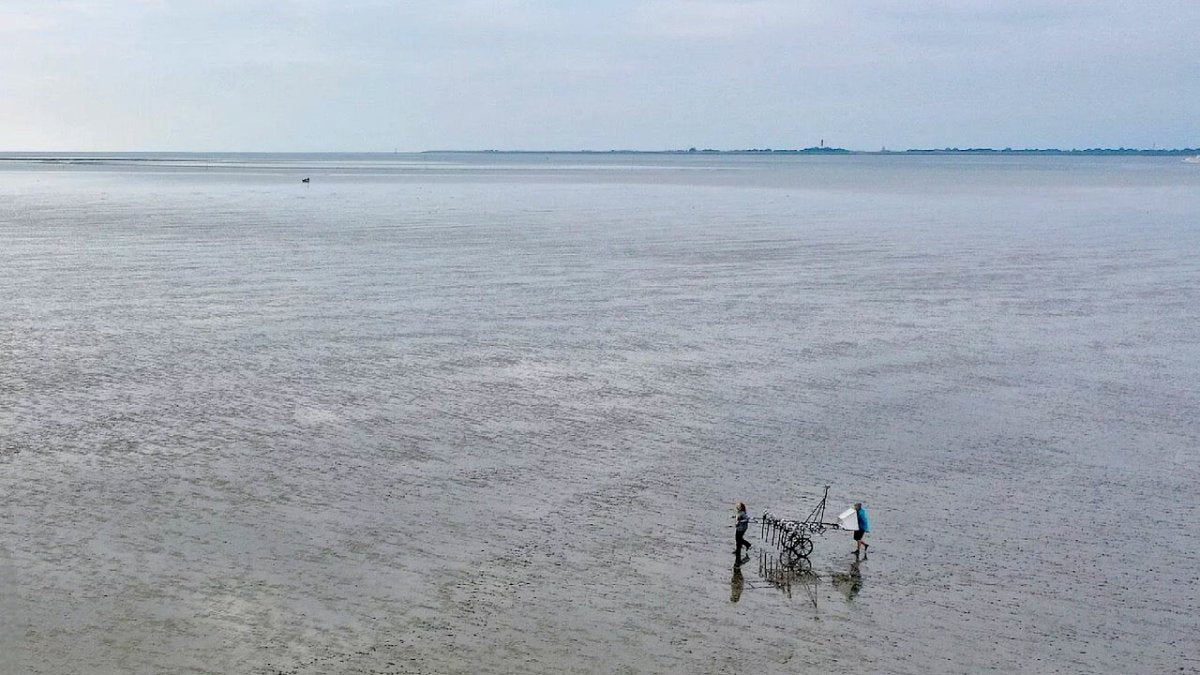 Sensation: Forscher entdecken Kirche von Rungholt nahe Hallig Südfall - Ankerherz Verlag