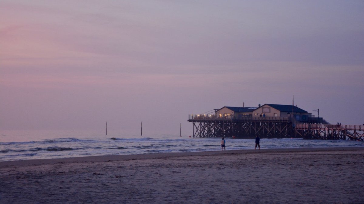 Toter Grindwal am Strand von Sankt Peter-Ording - Ankerherz Verlag