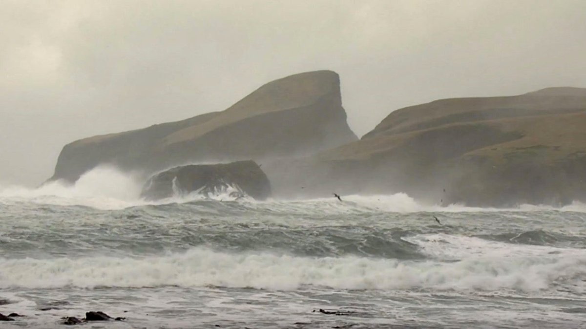 Verliebt in Shetland: Wie die Insel ihre Strände aufräumt - Ankerherz Verlag