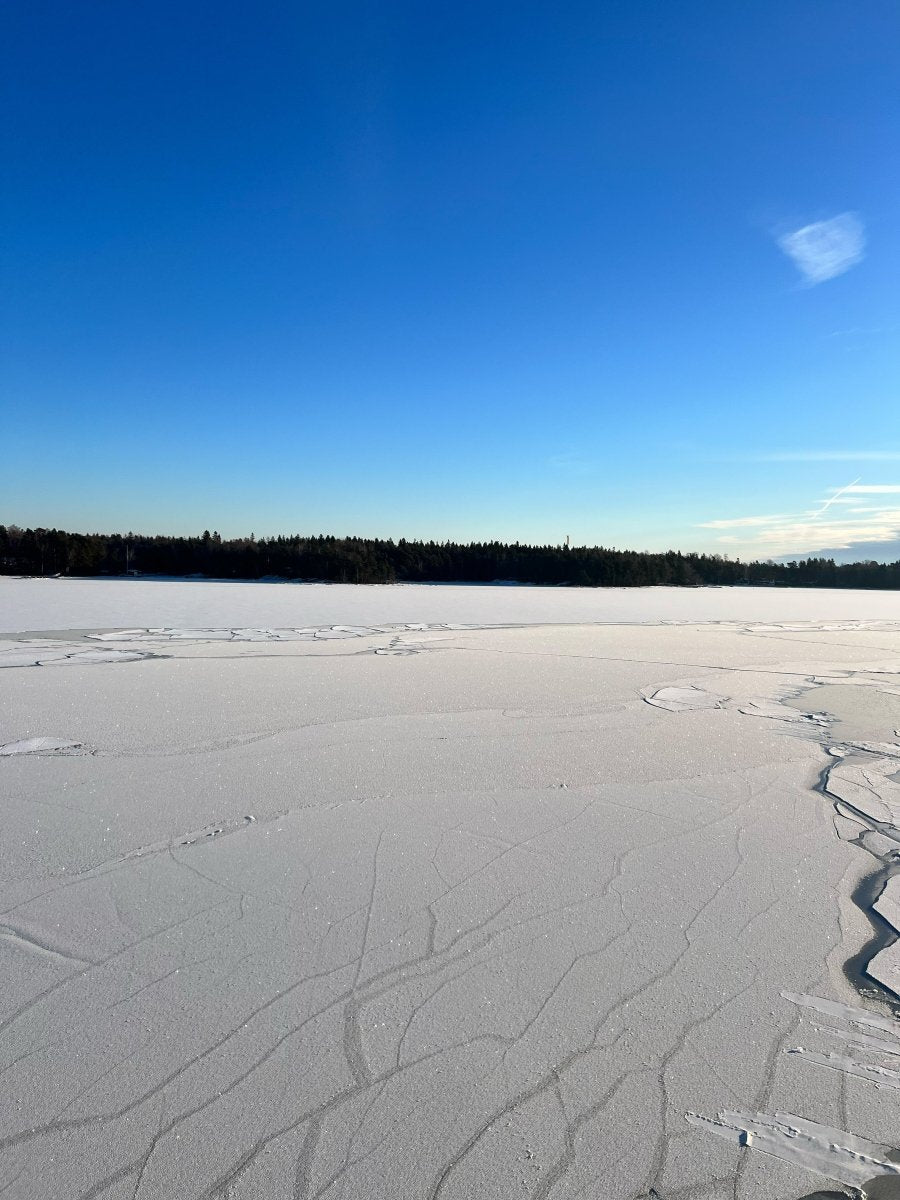 14.2. - 17.2.2025: Eisbrecher-Tour nach Helsinki - Ankerherz Verlag