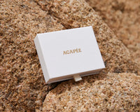 Vergoldete Halskette Seesterne und Muscheln