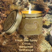 Cream Cornwall Duftkerze Golden Depths – Dose geschlossen mit maritimen Illustrationen