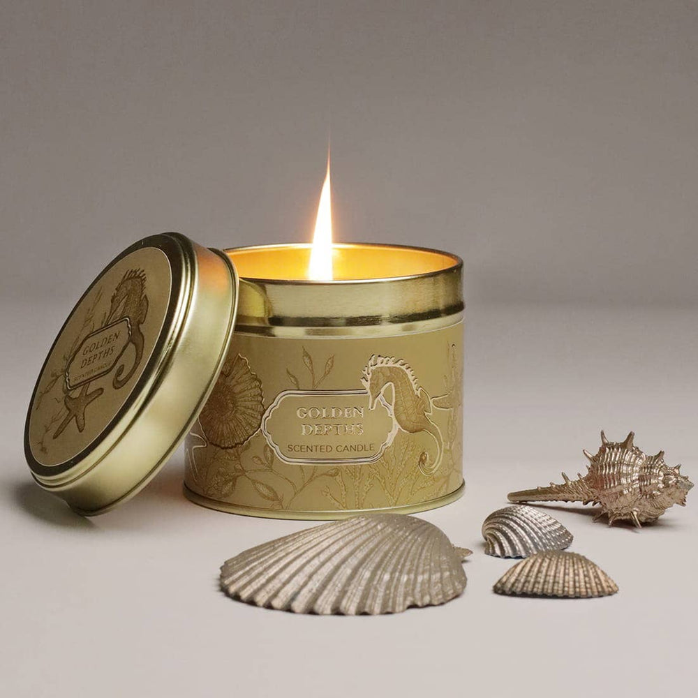 Duftkerze Golden Depths von Cream Cornwall – goldene Dose mit Seepferdchen-Illustration, brennend mit Muscheln