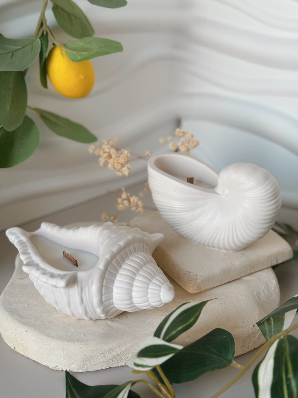 Muschelschale mit Duftkerze