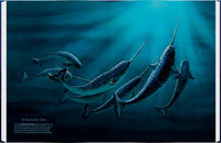 Wale - Giganten der Meere