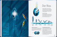 Wale - Giganten der Meere