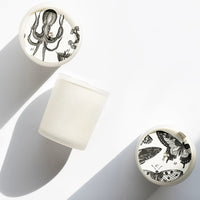 Duftkerze mit Lavendel, Jasmin und Oktopus-Design in weiß mattierter Glaskerze