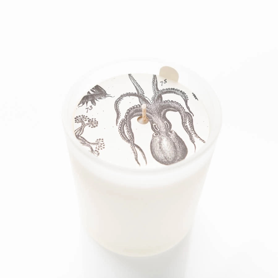 Duftkerze mit Lavendel, Jasmin und Oktopus-Design in weiß mattierter Glaskerze