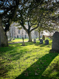 Holy Island TOUR 2026 - mystisches Northumberland