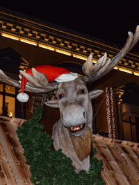 Mini-Cruise zum Weihnachtsmarkt in Oslo 6.-10.12.2025
